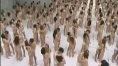 500 People Flash Mod Turns Into Orgy At Penbank School