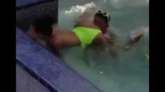 Thot From School Getting Ruined In The Hotel Pool (IG @liccmyazz )
