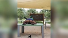 Yoga…naughty University Chick #backtouniversity